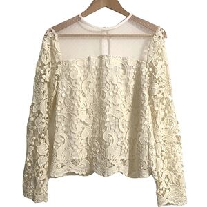 Endless Rose Ivory Lace & Sheer Mesh Blouse Scalloped Hemline Size M